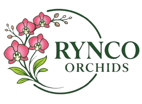 Rynco Orchids