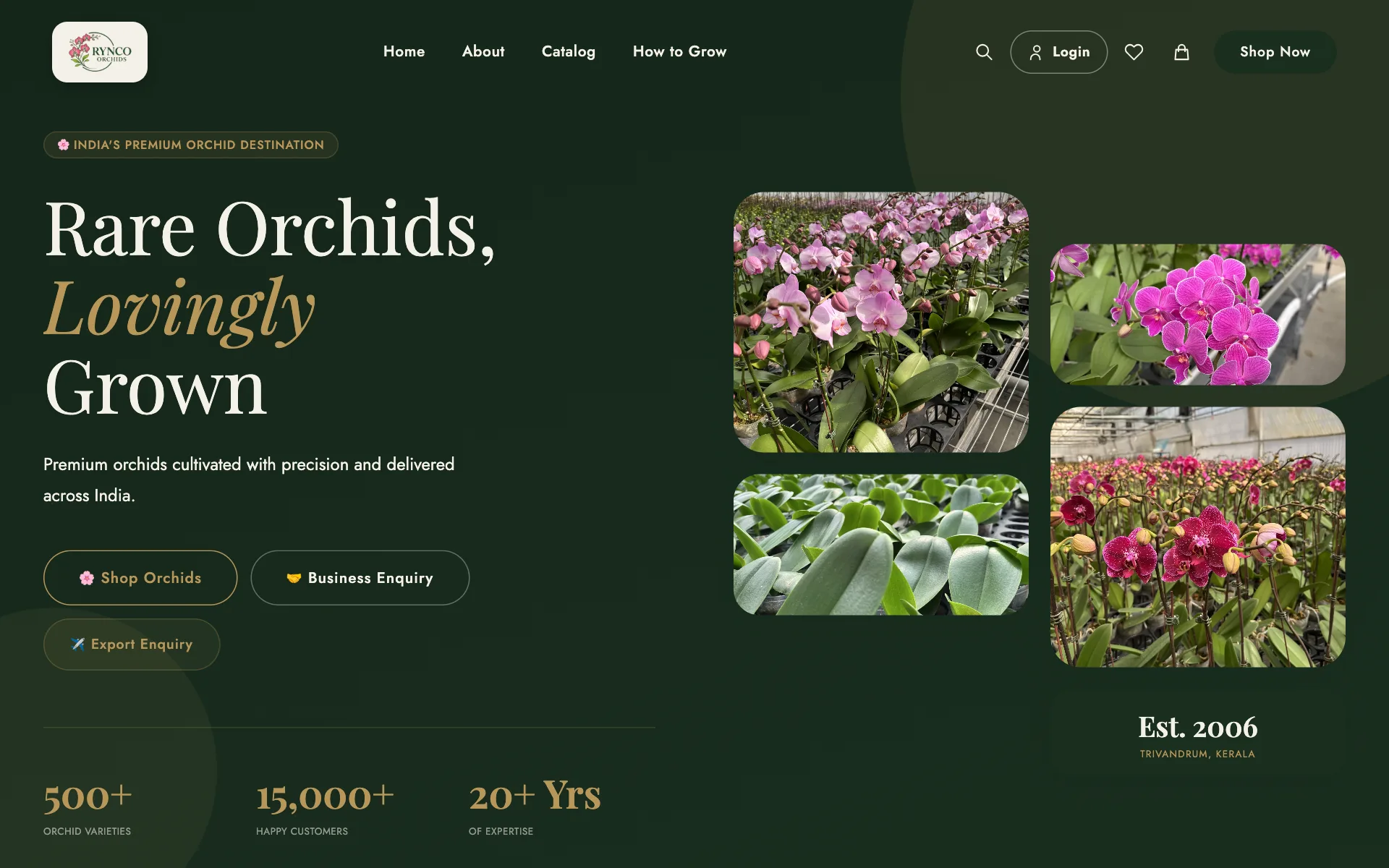 The Rynco Orchids website as it is live today